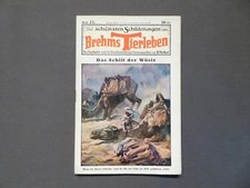 Die schönsten Schilderungen