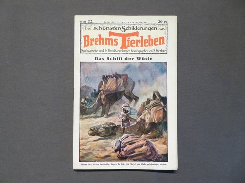 Die schönsten schilderungen - die,