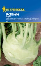 Kiepenkerl Kohlrabi 'Gigant' Samen – Riesengemüse bis 5 kg, erntefrisch & zart