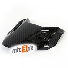 Carbon Frontverkleidung für