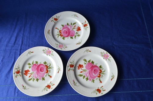 Warnecke ostfriesische rose - warnecke,