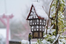 Vogelfutterhaus zuckerhut - vogelfutterhaus,