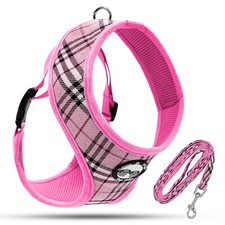 Twinkle & Mogly - niedliches