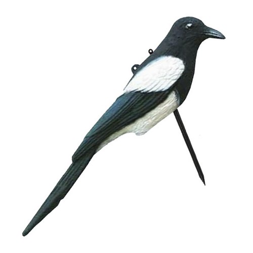 Lockvogel elster aus - lockvogel,