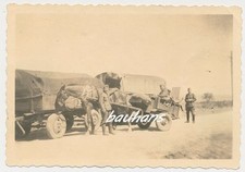 Foto Russland Pferdegespann