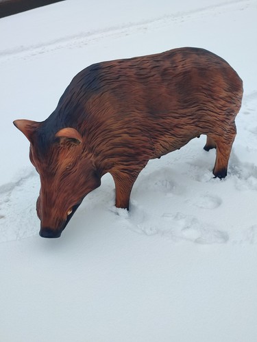 Wildschwein lebensgroß