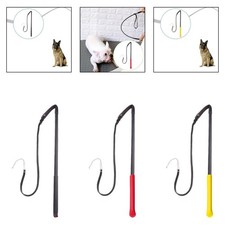 Hundetraining mit der