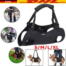 Hundetransporter älterer