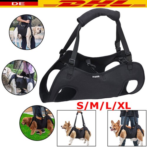 Hundetransporter älterer