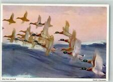 39905820 - Flugenten sign. Olszewski Ewald Ente