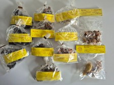 DDR Plaho Tiere Zoo 12