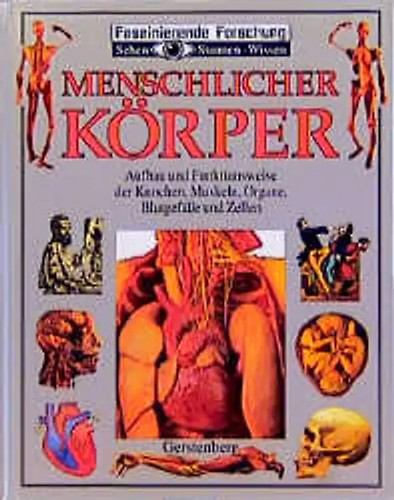 Menschlicher körper - menschlicher,