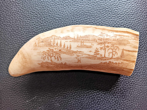 Scrimshaw pottwalzahn - scrimshaw,