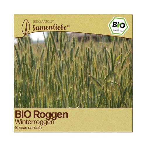 Bio roggen samen sorte - samen,