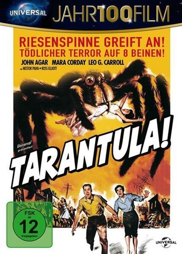 Tarantula riesenspinne - -,