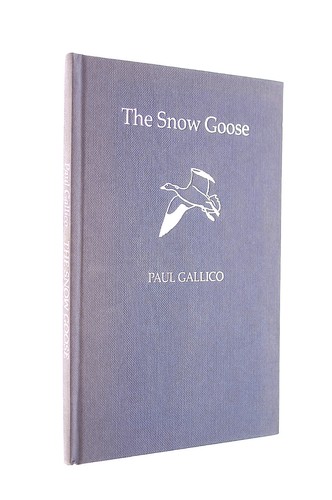 The snow goose - snow,
