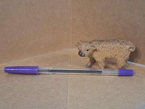 Elc highland calf 33818 - calf,
