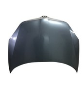 6027198 Motorhaube SKODA Fabia