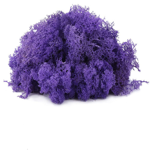 Islandmoos deko 100g violett - deko,