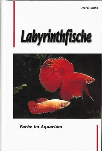 Farbe aquarium - farbe, im