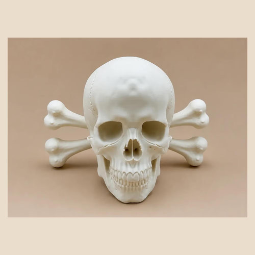 Totenkopf knochen huthalter - &,