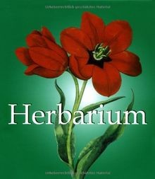 Herbarium buch zustand - herbarium, |