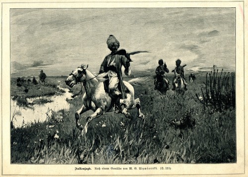 Falkenjagd wywiorski - falkenjagd, --