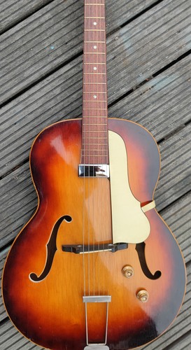 Fasan archtop schlaggitarre - fasan,