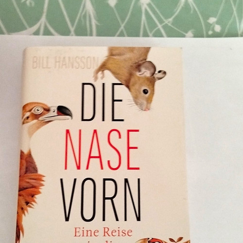 Die nase vorn von - die,