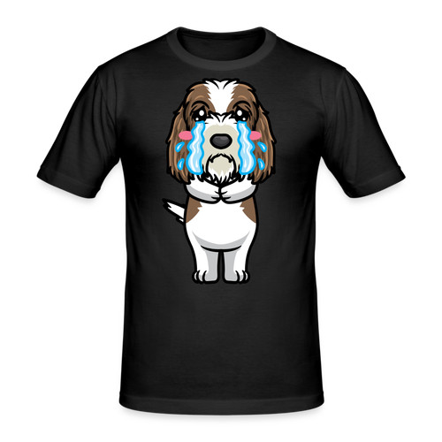 Kleiner basset griffon - basset,