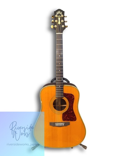 Guild akustikgitarre d62 hg - guild,