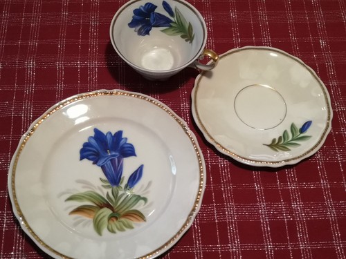 Sammeltasse handmalerei enzian - sammeltasse,