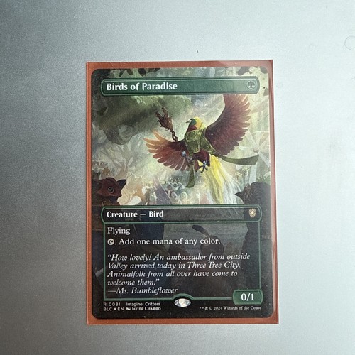 Birds paradise - of,