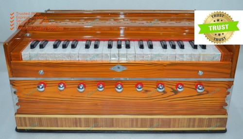 Harmonium professionelle - harmonium,