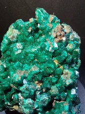 Erstklassige, große DIOPTAS Kristallstufe aus der Republik Kongo