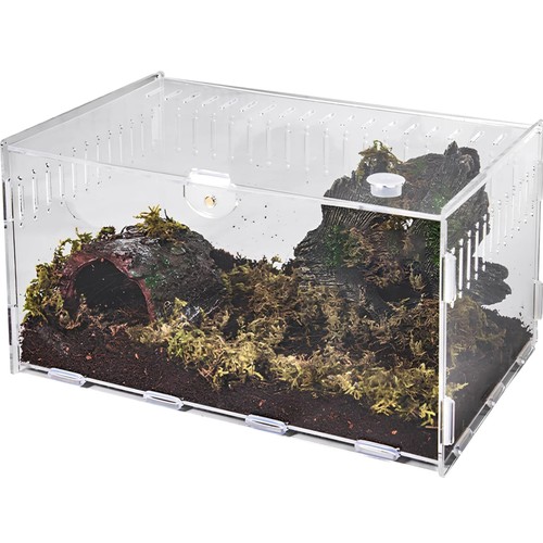 Reptilien terrarium mini - reptilien,
