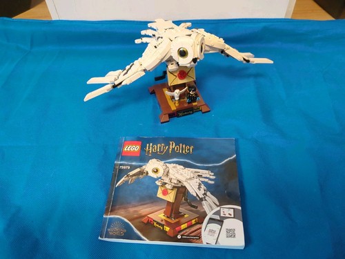 Lego harry potter 75979 - harry,