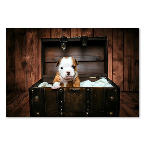 Postereck 2361 poster - 2361,