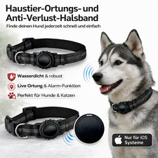 Haustier GPS Tracker Halsband