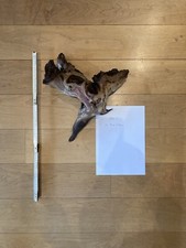 Wurzel Holz Aquarium Deko 40x40cm