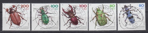 Bund 1666 1670 gest - 1666-1670, jugend