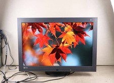 EIZO RadiForce RX430 29,8 Zoll