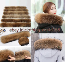 Natur Waschbär Kragen