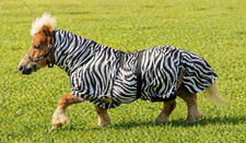 Ekzemer Fliegendecke Zebra