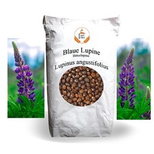 Blaue Lupine Saatgut 2 kg