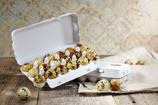 180 Delikatess Wachteleier