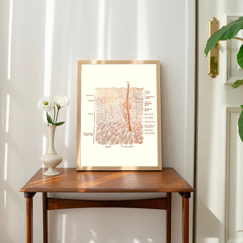 Anatomie poster leinwand - poster,