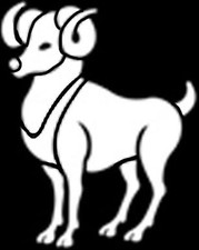 Sternzeichen Armband - 925er Sterling Silber- Inkl. pers. Gravur- 2