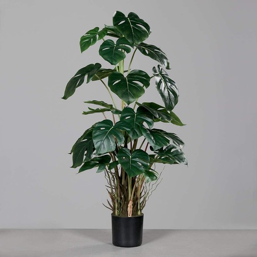Mucplants künstliche monstera - mucplants,