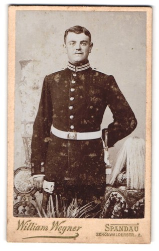 Fotografie william wegner - fotografie,